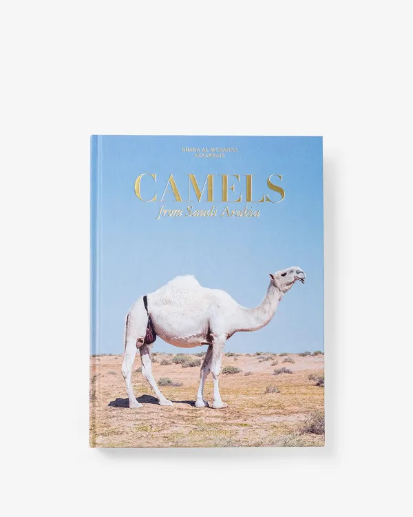 Classics|Assouline Camels From Saudi Arabia (Classic)
