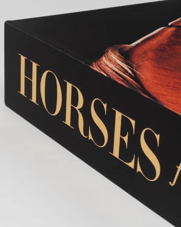 Ultimates|Assouline Horses From Saudi Arabia